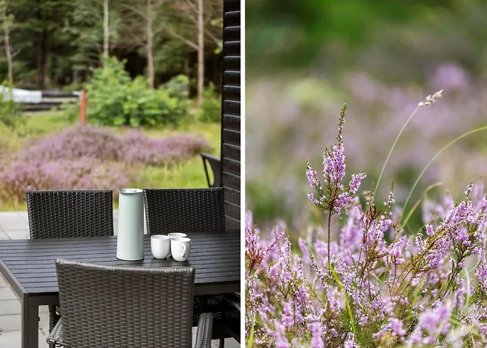 Σπίτι διακοπών 2800-romo-dvaergternen-11 Molby